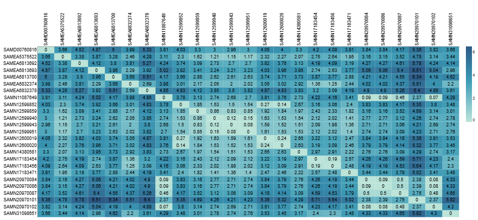 Divergence Matrix