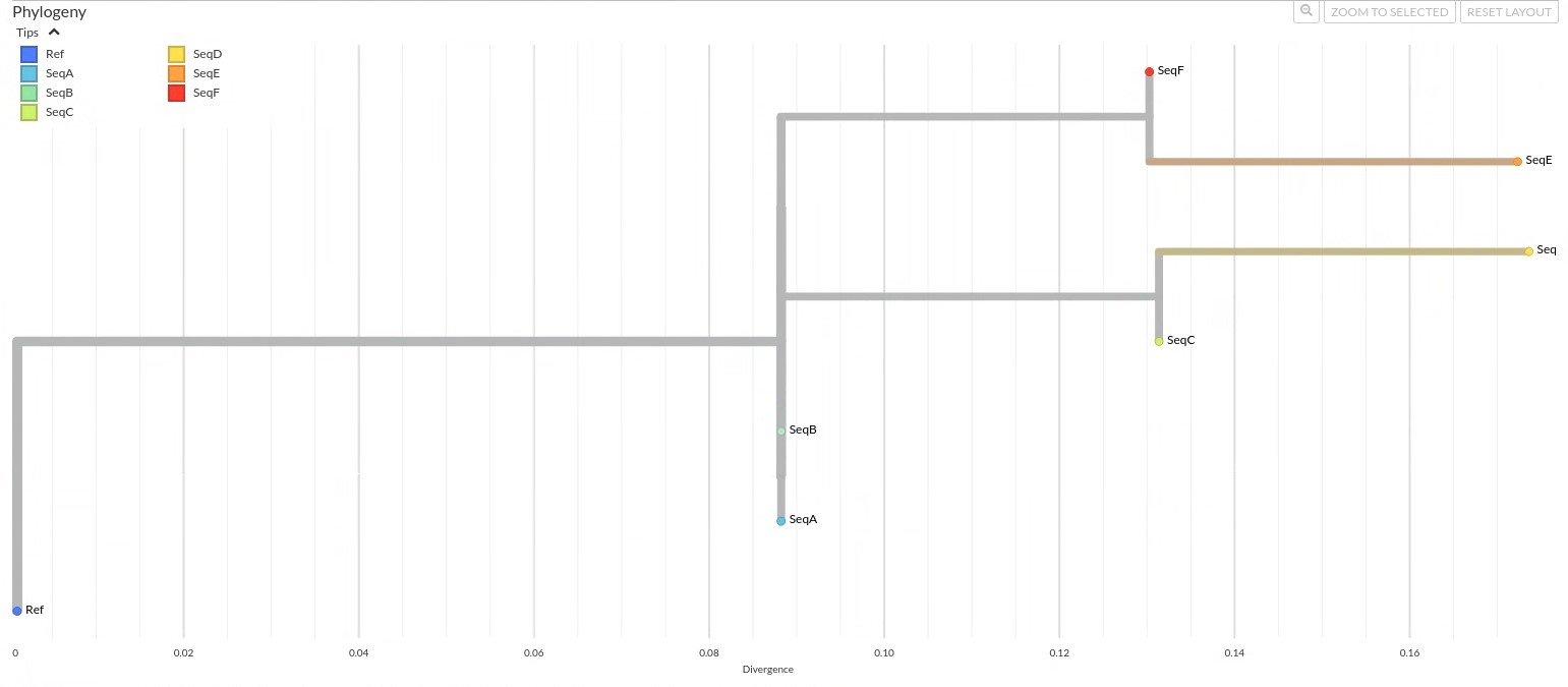 Example illustrating a phylogenetic tree of sequence alignment
